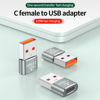 120W 10Gbps USB3.1 Male to USB-C / Type-C Female OTG Mini Adapter(Silver)