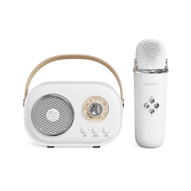 C20 Plus Multifunctional Karaoke Bluetooth Speaker With Microphone (White)