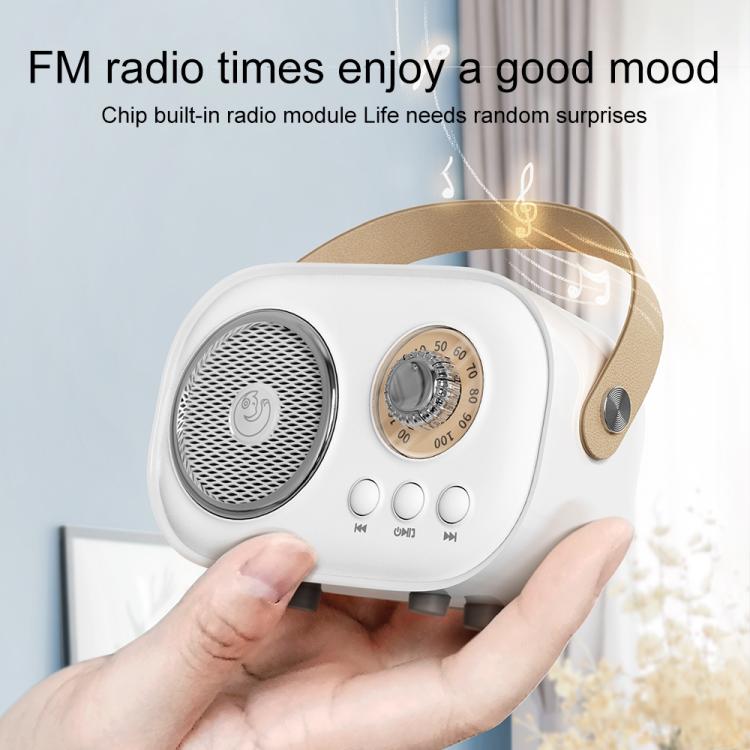 C20 Plus Multifunctional Karaoke Bluetooth Speaker With Microphone (White)
