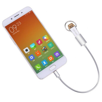 24cm 2A Micro USB to USB Aluminum Alloy Hose OTG Adapter Data Charging Cable with USB-C / Type-C Connector(Silver)