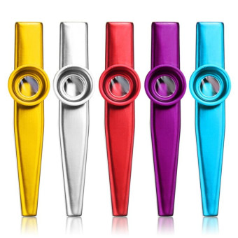 10 PCS Metal Kazoo Children Accompaniment Instrument(Silver)