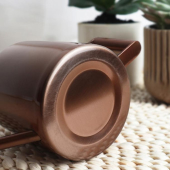 300ML Stainless Steel Watering Can with Long Spout(Black)