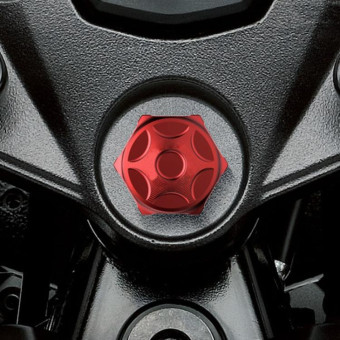 Motorcycle Light Bee Uplink Screws Uplink Modification Screws Decorative Cover(Blue)