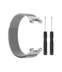 For Amazfit T-Rex Pro / Amazfit T-Rex Milanese Magnetic Metal Watch Band(Silver)