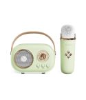 C20 Plus Multifunctional Karaoke Bluetooth Speaker With Microphone (Green)