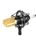 FIFINE F-700 Professional Condenser Sound Recording Microphone with Shock Mount for Studio Radio Broadcasting & Live Boardcast, 3.5mm Earphone Port, Cable Length: 2.5m(Black)