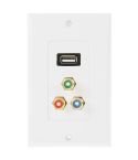 USB 2.0 Female Plug + 3 RCA Female Plugs Wall Plate Panel