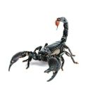 Creative Personality Scratch Cover  Car Body Sticker(Scorpion)