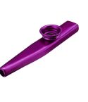 10 PCS Metal Kazoo Children Accompaniment Instrument(Purple)