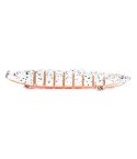 HENGJIA Multi-Segment Fish Bait Fake Fish Bait Luya Loach Bait(4 14cm 21.4g)