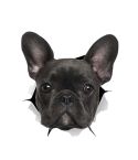Personality Puppy 3D Car Stickers Waterproof Car Body Block Scratches Simulation Stickers(Black Dog)