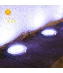 2 PCS 20LEDs Outdoor Waterproof Solar Garden Light Lawn Buried Light(White Light)