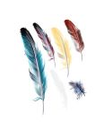 5 Sets Car 3D Feather Body Sticker Scratch Blocking Sticker(Style 1)