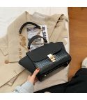 Women Vintage Wing Shape Frosted Handbag Versatile Chain Crossbody Bag(Black)