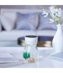 FH-068 Mini USB Car Home Colorful Light Bottle Micro Landscape Humidifier(White)