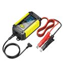 FOXSUR Cars Motorcycles 12V Lithium Cattery Charger With Battery Detection(EU Plug)