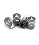 4pcs Laser Ioon Car Tire Modification Universal Valve(Gray)
