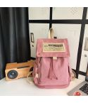 Travel Canvas Backpack Large Capacity School Bags for Teenage Girls and Boys(Pink)