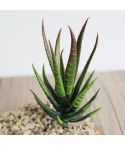 Artificial Mini Aloe Plastic Plants Craft Floristry Landscape Garden Family Office Decoration(Green not Flocked)