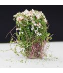 Artificial Handmade Model Material Sand Table Building Bush Flower Finished Flower(White Pink Flower)