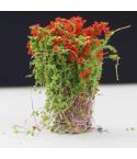 Artificial Handmade Model Material Sand Table Building Bush Flower Finished Flower(Red Flowerr)
