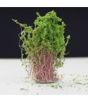 Artificial Handmade Model Material Sand Table Building Bush Flower Finished Flower(Green Bush)