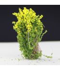 Artificial Handmade Model Material Sand Table Building Bush Flower Finished Flower(Yellow Flower)