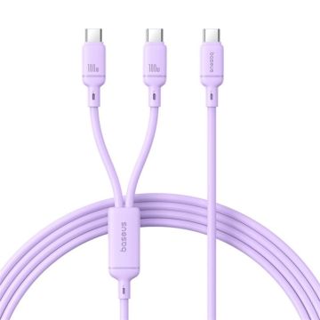 Baseus Silky Series 1.5m 100W USB-C / Type-C to Dual Type-C Fast Charging Cable(Nebula Purple)