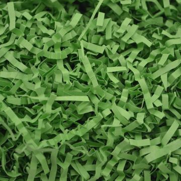 20g RF1101-20 Raffiti Filler Paper Grass Shredded Crumpled Wedding Decorations Party Gift Box Filling(Green)