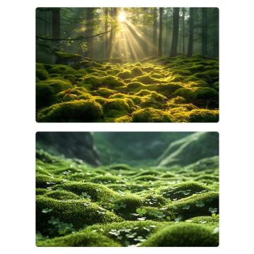 57 x 87cm Double-sided 3D Forest Photography Background Paper Photography Props(05)