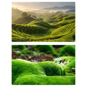 57 x 87cm Double-sided 3D Forest Photography Background Paper Photography Props(07)