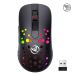 HXSJ T100 10000 DPI RGB Macro Definition Wired Wireless Dual-mode Mouse(Black)